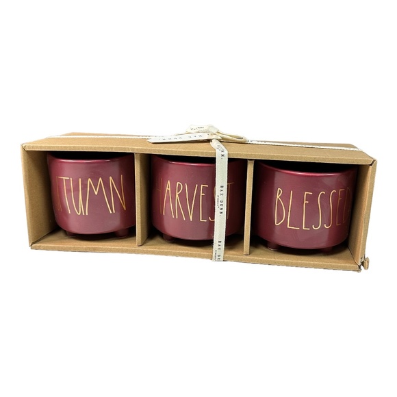 Rae Dunn "AUTUMN" "HARVEST "BLESSED" Mini Planter Set - Picture 1 of 1